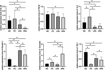 Effect of Cymbopogon martini (Roxb.) Will.Watson essential oil on antioxidant activity, immune and intestinal barrier-related function, and gut microbiota in pigeons infected by Candida albicans